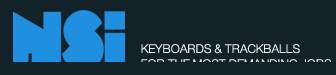 NSI logo