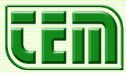 TEM ELECTRIC MOTORS logo