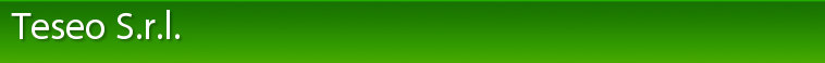Teseo Srl logo
